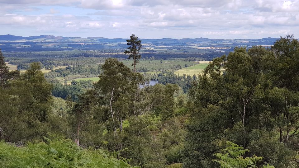 Slideshow 5 - Slide 22